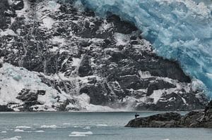 Aialik Glacier, Alaska