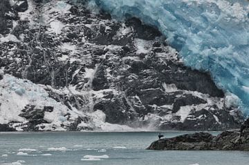 Aialik Glacier, Alaska van Tilly Meijer