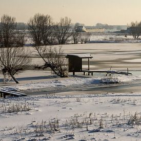 Winters Wetland Passewaay (panorama 3:1) van René Weijers