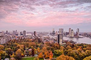 Rotterdam: die Stadt, der Himmel und der Park