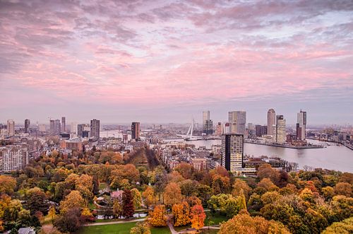 Rotterdam: the City, The Sky and The Park