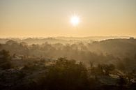 Sonnenaufgang in den Dünen von Tomas Grootveld Miniaturansicht