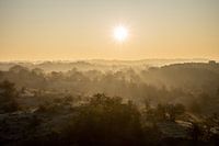 Sonnenaufgang in den Dünen