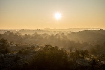 Zonsopkomst in de duinen