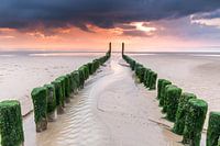 Zeeland's groynes