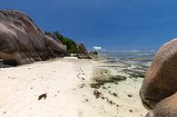Strand auf der Seychellen Insel La Digue von Reiner Conrad Miniaturansicht