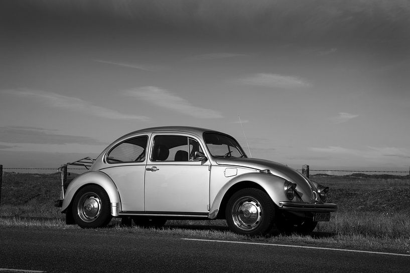 Coccinelle de Volkswagen par Ton van Buuren
