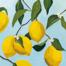 Lemon Tree, Pamela Munger