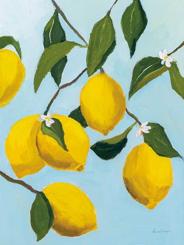 Zitronenbaum, Pamela Munger von Wild Apple