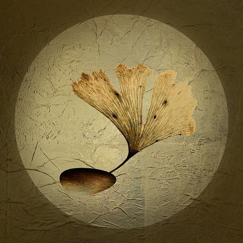 Strength 3. Ginkgo.