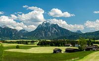 Prachtig weidelandschap over de Ostallgäu naar de Säuling berg van Leo Schindzielorz thumbnail
