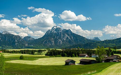 Prachtig weidelandschap over de Ostallgäu naar de Säuling berg