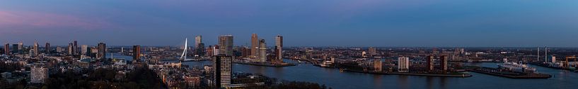 Panorama-Rotterdam in der Nacht von Daan Kloeg