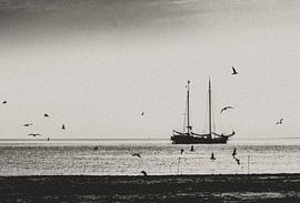 Nur auf See von Images by Saskia - Foto & Film