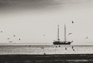 Alleen op zee van Images by Saskia - Foto & Film
