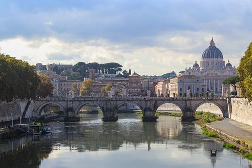 Rom von Dieren en natuur