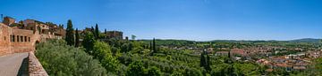 Uitzicht over Toscane bij Certaldo van Peter Baier