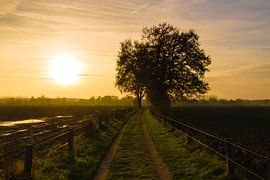 Sunset Path by wimke247