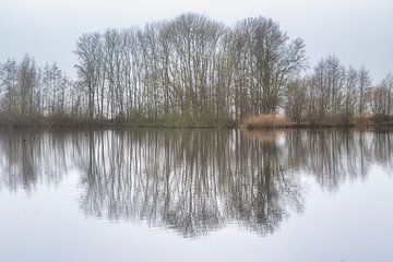 mist in Etten-Leur 2025 van Egon Zitter
