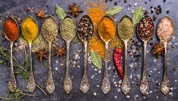 Gewürze der Weltküche auf Kupferlöffeln