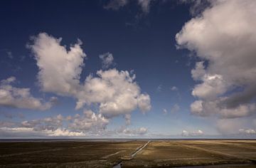 Salt marshes of the Groninger Wadden coast by Bo Scheeringa Photography