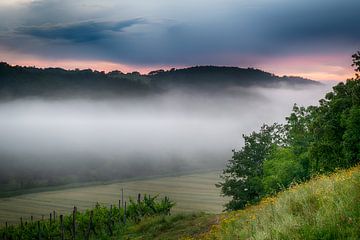 Toskanische Landschaft mit Nebel
