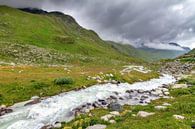 Rivier door het dal in Zwitserland von Dennis van de Water Miniaturansicht