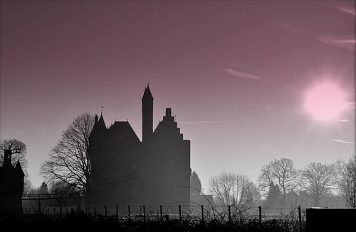 Kasteel Doornenburg met een twist