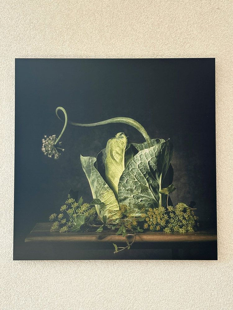 Ein grünes Märchen  von Monique van Velzen 