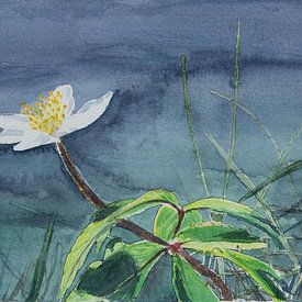 CreaNatuur Mariël photo de profil