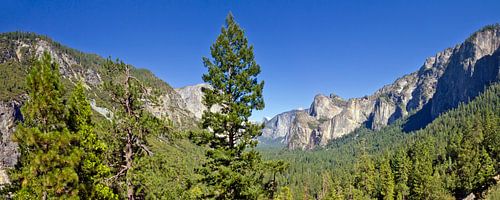 YOSEMITE VALLEY Panoramic View