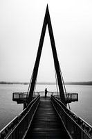 Morgennebel und Symmetrie am See