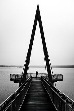 Morgennebel und Symmetrie am See von Alwin Koops fotografie