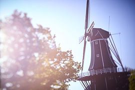 Windmühle de Adriaan Haarlem im Morgenlicht von Karel Ham