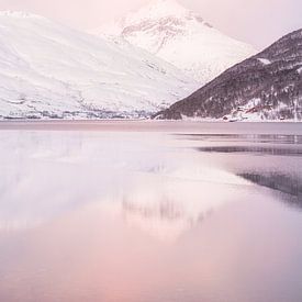 Het Kaldfjord In Noorwegen van Henrike Schenk