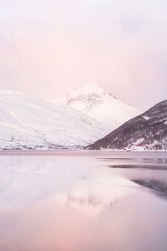 Het Kaldfjord In Noorwegen van Henrike Schenk