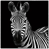 Zebra II Quadratisch