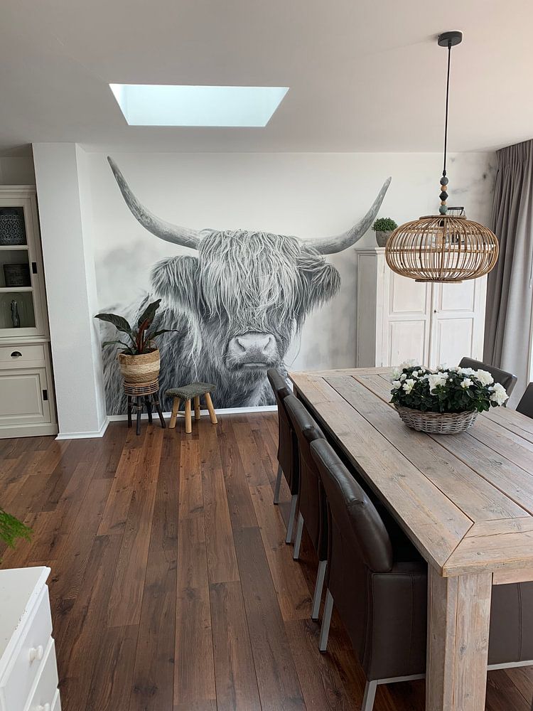 Scottish Highlanders in Jiltdijksheide nature reserve (black and white)  by Martijn van Dellen 