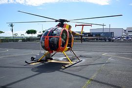 Auftrag abgeschlossen von Frank's Awesome Travels