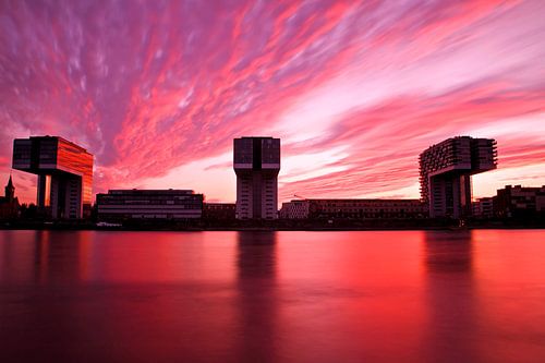 cologne by Martina Weidner