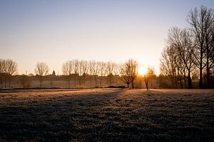 Lever de soleil rural sur Mickéle Godderis