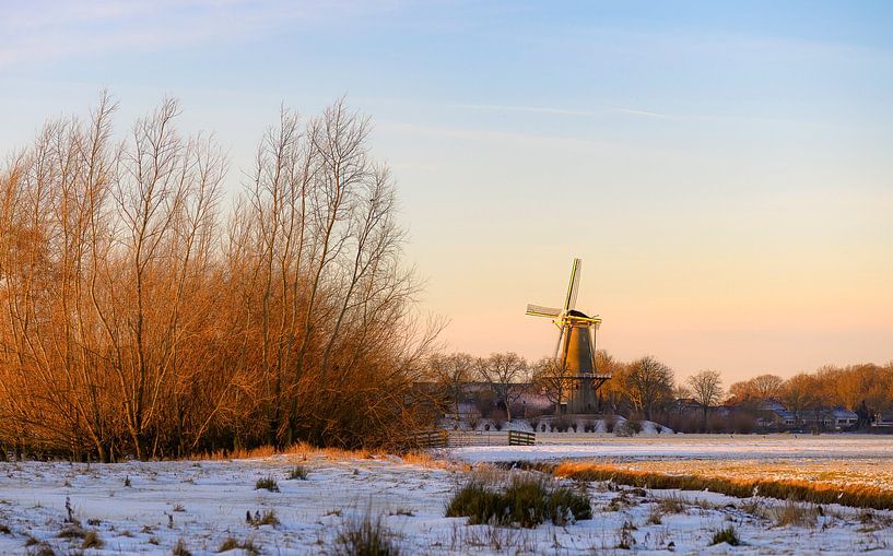 warme winter in Buren van Tania Perneel