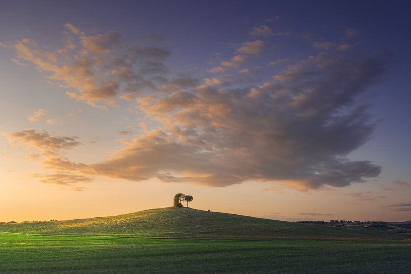 Toscane, landschap Maremma. Oude windmolen en bomen. van Stefano Orazzini