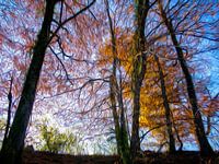 Gouden gloed van herfstblad in blauwe lucht