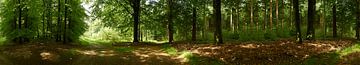 Panorama  Hoge Veluwe fotograaf Fred Roest