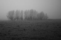 ruhiger Morgen
