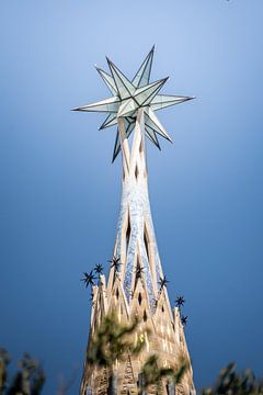 Sagrada Familia star of Barcelona by Ryan van Pelt