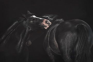Horse love by Elianne van Turennout