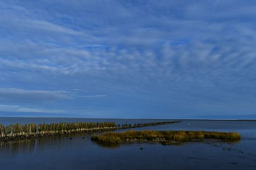 Zicht op het wad bij Paesens-Moddergat, Friesland