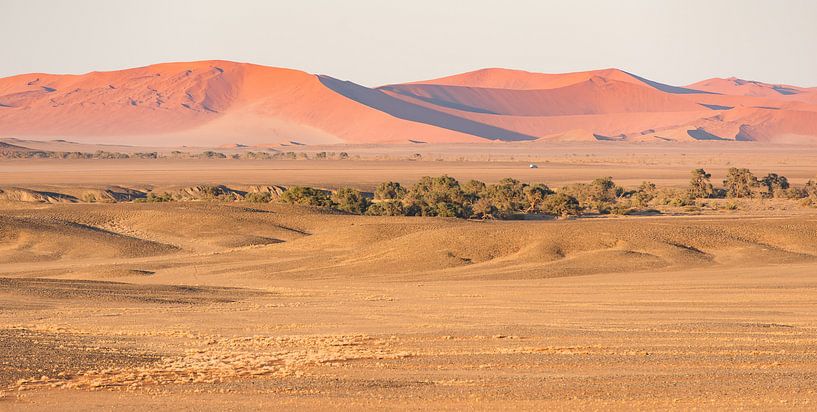 Namibië, woestijn, Sossusvlei van Jeannette Kliebisch